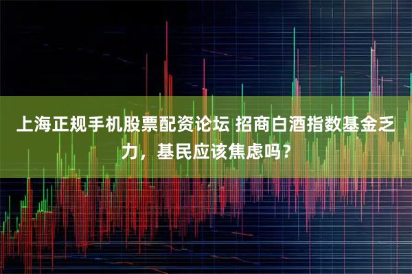上海正规手机股票配资论坛 招商白酒指数基金乏力，基民应该焦虑吗？
