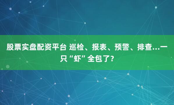 股票实盘配资平台 巡检、报表、预警、排查...一只“虾”全包了？